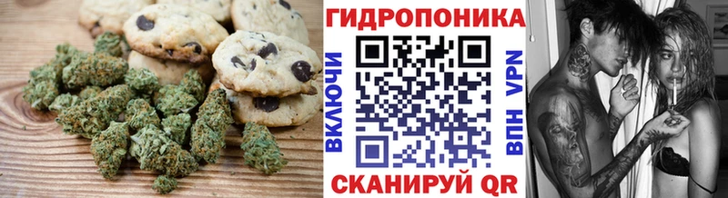 мориарти состав  дарнет шоп  Дмитров  Canna-Cookies конопля 