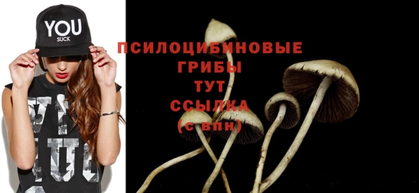 стафф Алзамай