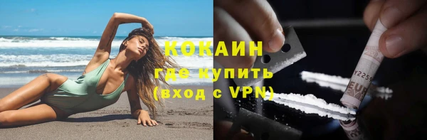 стафф Алзамай