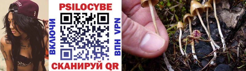 купить наркотики цена  Дмитров  Псилоцибиновые грибы мухоморы 
